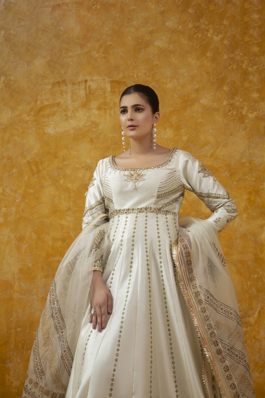 Chandni - Image 5